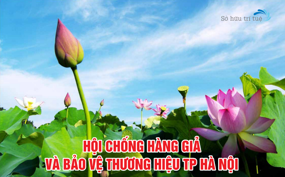 Hội Chống hàng giả và bảo vệ thương hiệu TP Hà Nội tổ chức trao tặng kỷ niêm chương cho các hội viên